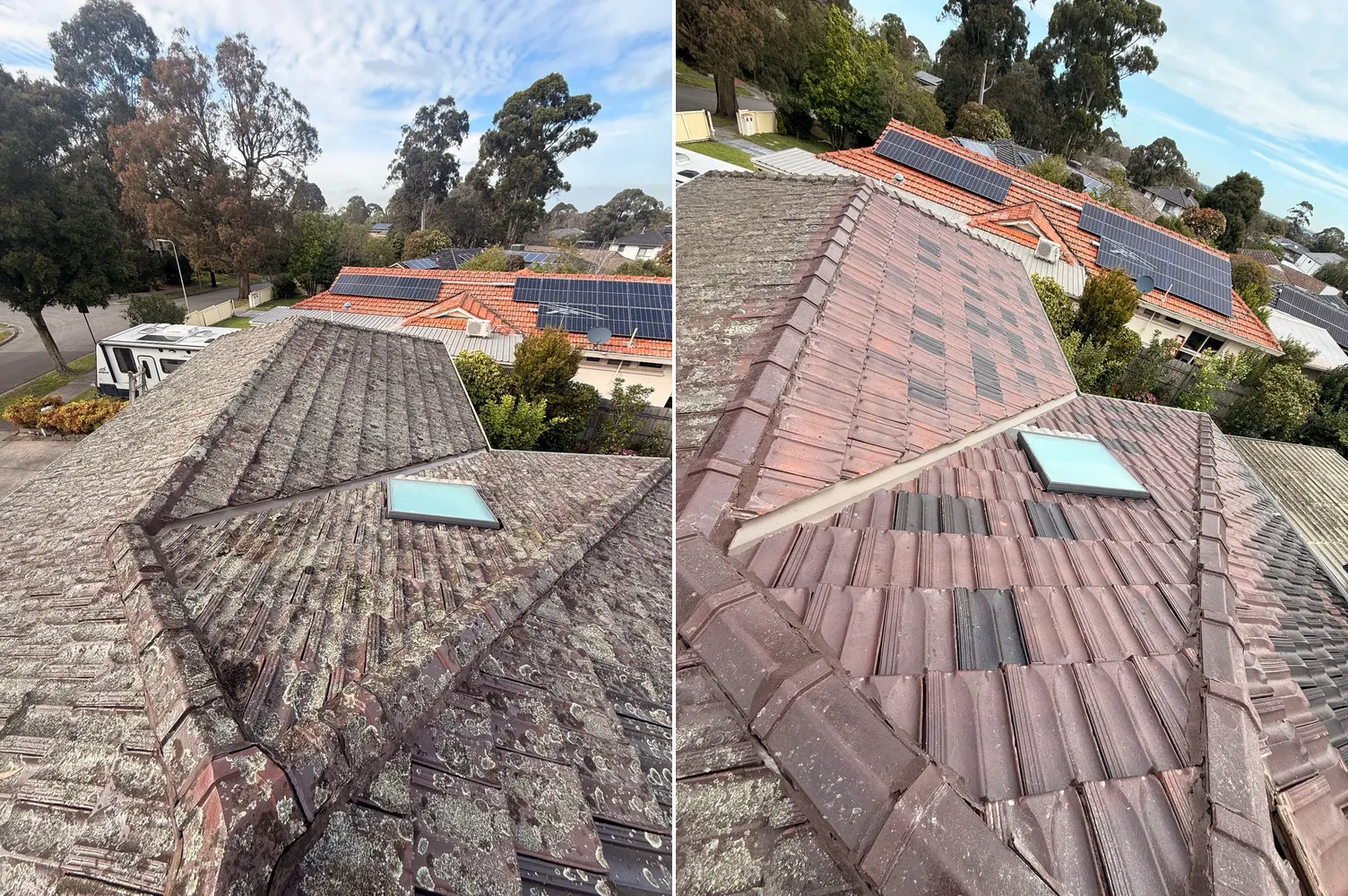 Before and after moss and lichen removed from a Melbourne tile roof with pressure cleaning